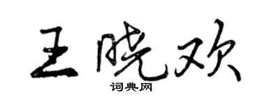 曾慶福王曉歡行書個性簽名怎么寫
