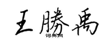 王正良王勝禹行書個性簽名怎么寫