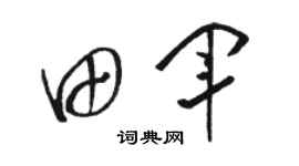 駱恆光田軍草書個性簽名怎么寫