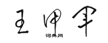 駱恆光王甲軍草書個性簽名怎么寫