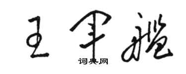 駱恆光王軍艦草書個性簽名怎么寫