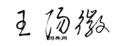 駱恆光王陽徽草書個性簽名怎么寫