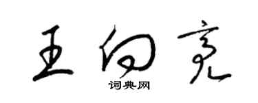 梁錦英王向亮草書個性簽名怎么寫