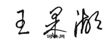 駱恆光王果湖草書個性簽名怎么寫