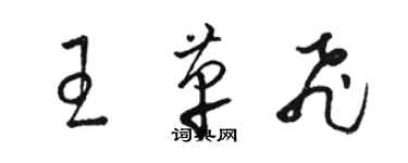 駱恆光王革飛草書個性簽名怎么寫