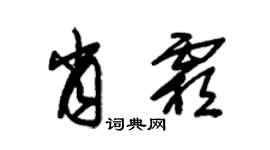 朱錫榮肖霜草書個性簽名怎么寫