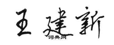 駱恆光王建新行書個性簽名怎么寫