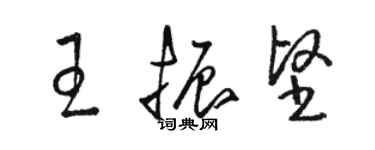 駱恆光王振堅草書個性簽名怎么寫