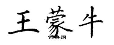 丁謙王蒙牛楷書個性簽名怎么寫