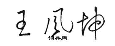 駱恆光王風坤草書個性簽名怎么寫