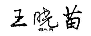 曾慶福王曉苗行書個性簽名怎么寫