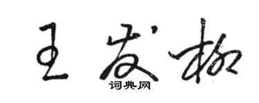 駱恆光王發柳草書個性簽名怎么寫