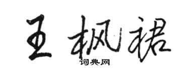 駱恆光王楓裙行書個性簽名怎么寫