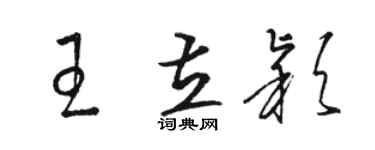 駱恆光王立穎草書個性簽名怎么寫