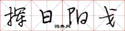 段相林揮日陽戈行書怎么寫
