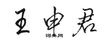 駱恆光王申君行書個性簽名怎么寫