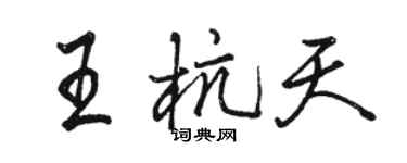駱恆光王杭天行書個性簽名怎么寫