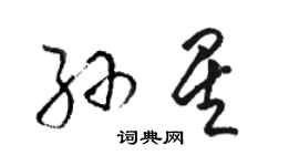 駱恆光孫星草書個性簽名怎么寫