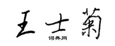 王正良王士菊行書個性簽名怎么寫