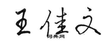 駱恆光王佳文行書個性簽名怎么寫