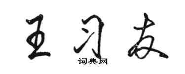 駱恆光王習友行書個性簽名怎么寫