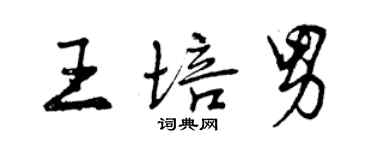 曾慶福王培男行書個性簽名怎么寫
