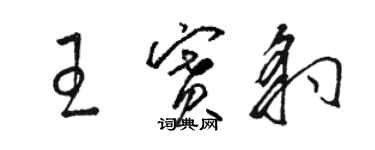 駱恆光王賽豹草書個性簽名怎么寫