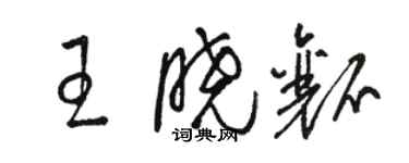 駱恆光王曉瓤草書個性簽名怎么寫