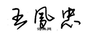 朱錫榮王鳳忠草書個性簽名怎么寫