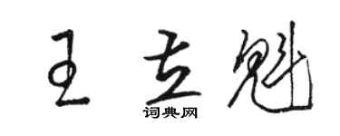駱恆光王立魁草書個性簽名怎么寫