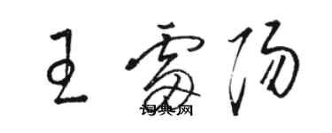 駱恆光王雷陽草書個性簽名怎么寫