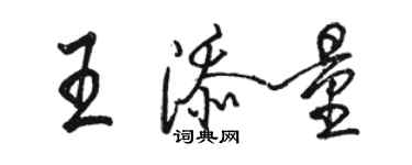 駱恆光王添量行書個性簽名怎么寫