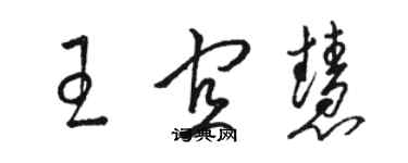 駱恆光王宜慧草書個性簽名怎么寫