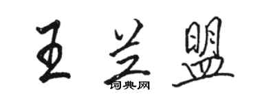 駱恆光王蘭盟行書個性簽名怎么寫