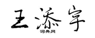 曾慶福王添宇行書個性簽名怎么寫