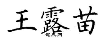 丁謙王露苗楷書個性簽名怎么寫