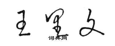 駱恆光王里文草書個性簽名怎么寫