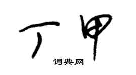 朱錫榮丁甲草書個性簽名怎么寫