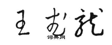 駱恆光王武龍草書個性簽名怎么寫