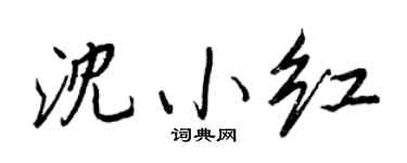 王正良沈小紅行書個性簽名怎么寫