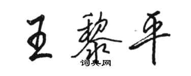 駱恆光王黎平行書個性簽名怎么寫