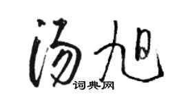 駱恆光湯旭草書個性簽名怎么寫