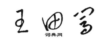 駱恆光王田闖草書個性簽名怎么寫