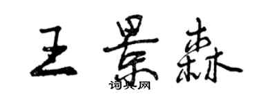 曾慶福王景森行書個性簽名怎么寫