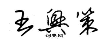 朱錫榮王興策草書個性簽名怎么寫