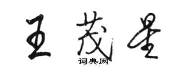 駱恆光王茂星行書個性簽名怎么寫