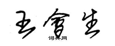 朱錫榮王會生草書個性簽名怎么寫