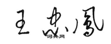 駱恆光王忠鳳草書個性簽名怎么寫