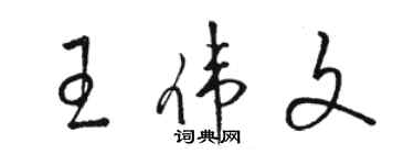 駱恆光王偉文草書個性簽名怎么寫