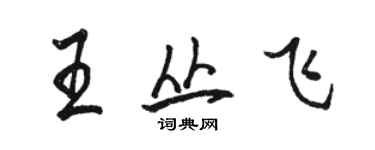 駱恆光王叢飛行書個性簽名怎么寫